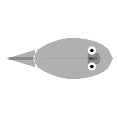 Body Colour (RGB): Grey
