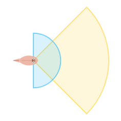 Far Vision Angle: Mid field of view