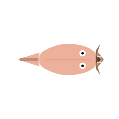 Mouth Width + Jaw Length: Wide + Short