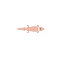 Juvenile (50% Growth) stage of the same semi-streamlined fin-and-tail swimmer